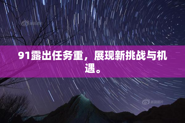 91露出任务重，展现新挑战与机遇。