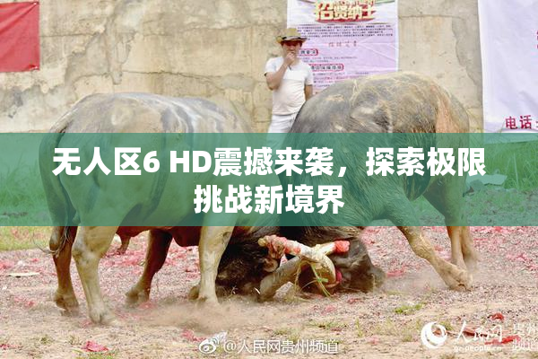 无人区6 HD震撼来袭，探索极限挑战新境界