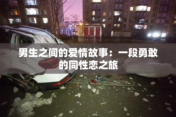 男生之间的爱情故事：一段勇敢的同性恋之旅