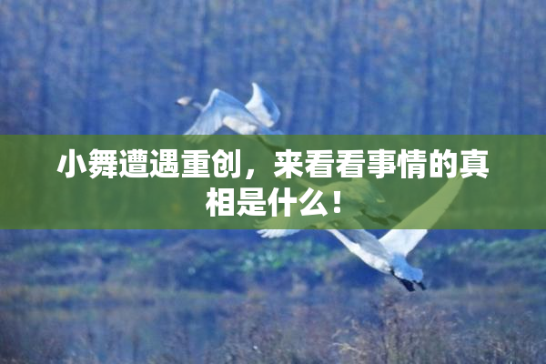 小舞遭遇重创，来看看事情的真相是什么！