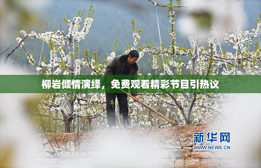 柳岩倾情演绎，免费观看精彩节目引热议