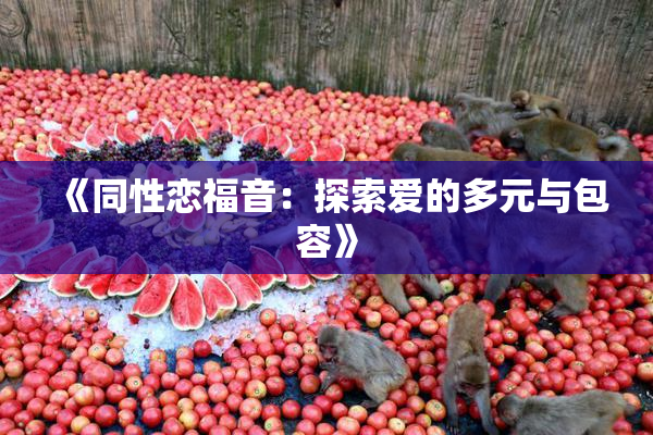 《同性恋福音：探索爱的多元与包容》