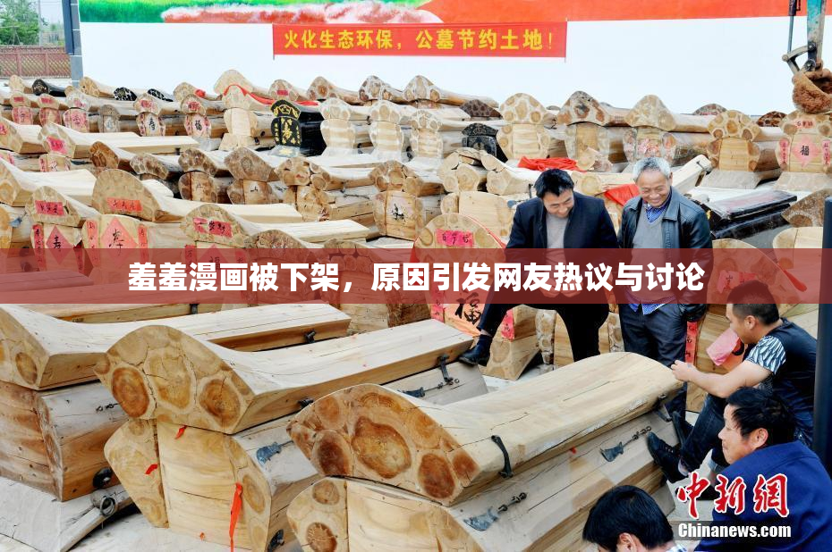 羞羞漫画被下架，原因引发网友热议与讨论