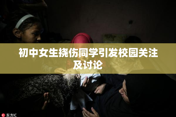 初中女生挠伤同学引发校园关注及讨论