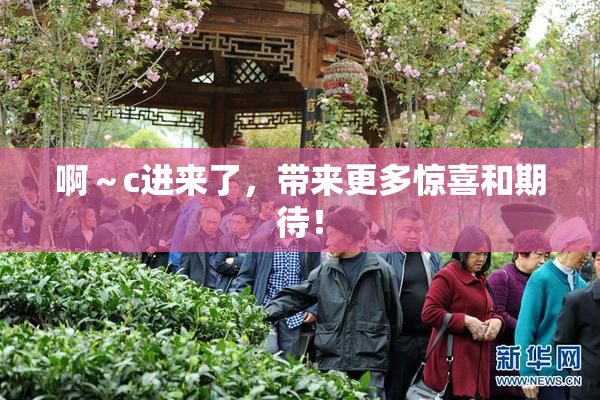 啊～c进来了，带来更多惊喜和期待！