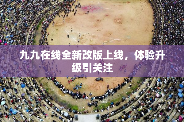 九九在线全新改版上线，体验升级引关注