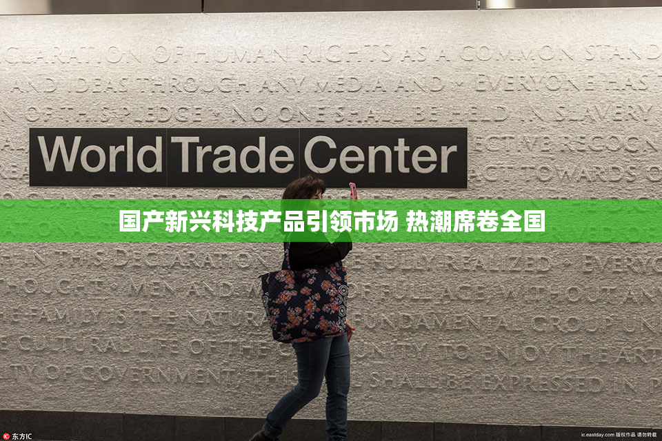 国产新兴科技产品引领市场 热潮席卷全国
