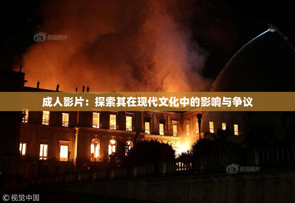 成人影片：探索其在现代文化中的影响与争议