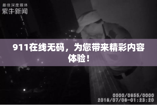 911在线无码，为您带来精彩内容体验！