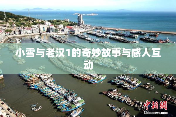 小雪与老汉1的奇妙故事与感人互动