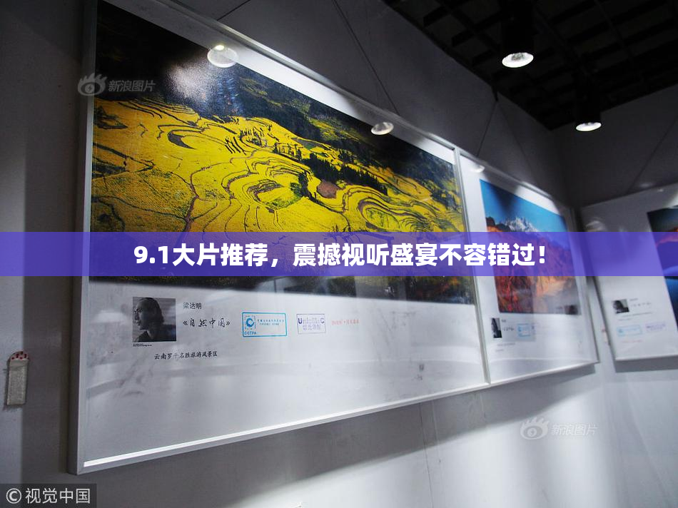 9.1大片推荐，震撼视听盛宴不容错过！
