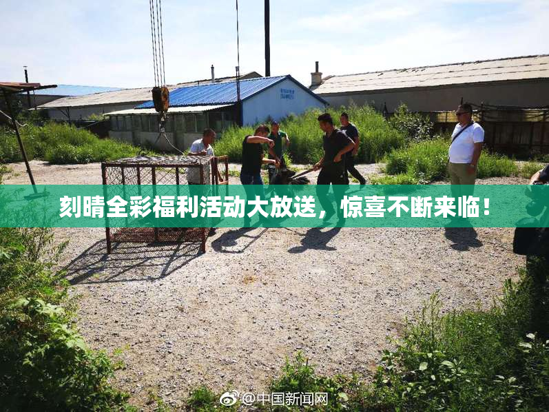 刻晴全彩福利活动大放送，惊喜不断来临！