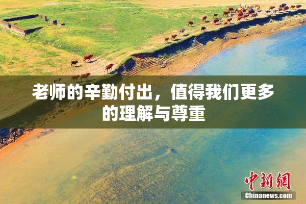 老师的辛勤付出，值得我们更多的理解与尊重