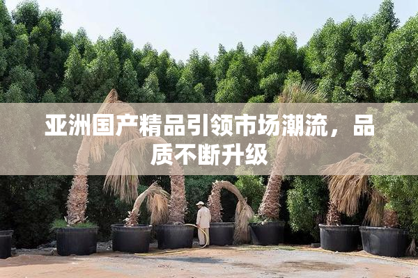 亚洲国产精品引领市场潮流，品质不断升级