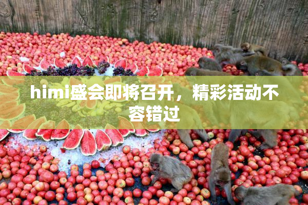 himi盛会即将召开，精彩活动不容错过