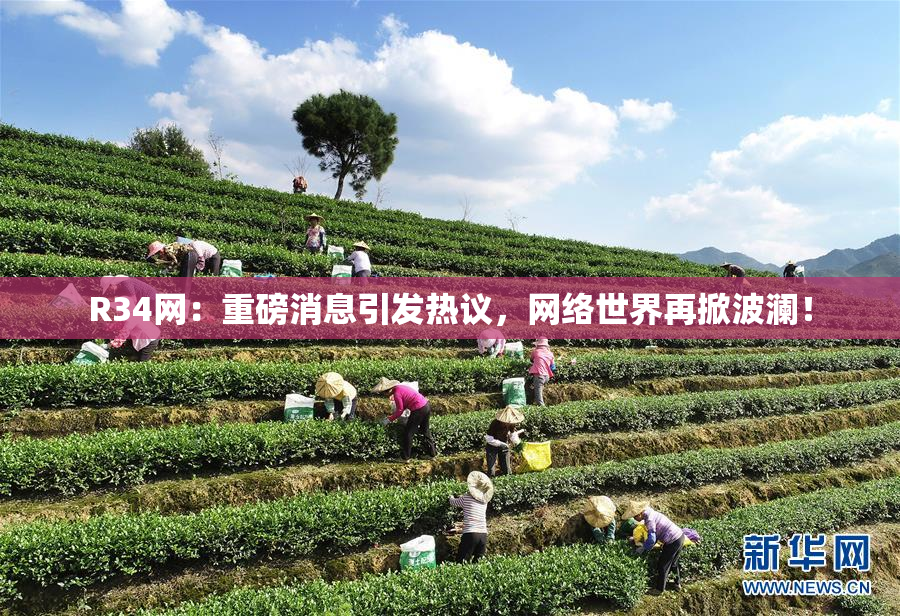 R34网：重磅消息引发热议，网络世界再掀波澜！