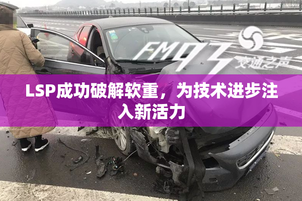 LSP成功破解软重，为技术进步注入新活力