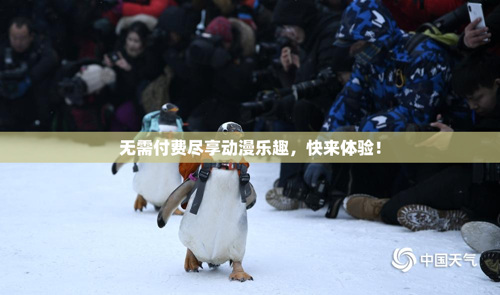 无需付费尽享动漫乐趣，快来体验！