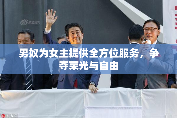 男奴为女主提供全方位服务，争夺荣光与自由