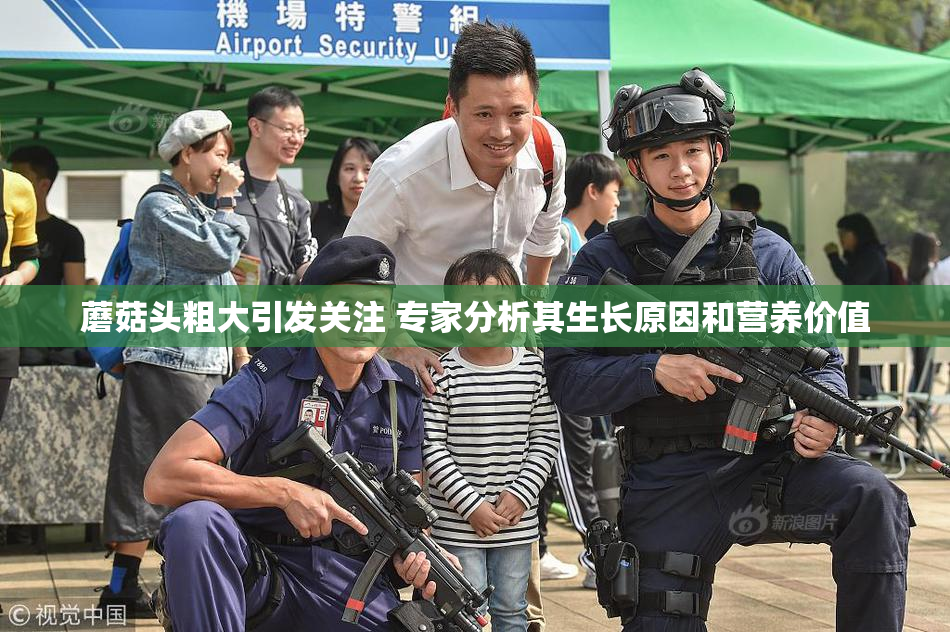 蘑菇头粗大引发关注 专家分析其生长原因和营养价值
