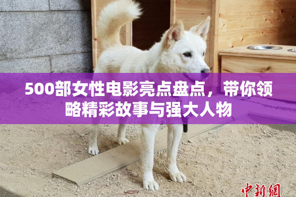 500部女性电影亮点盘点，带你领略精彩故事与强大人物