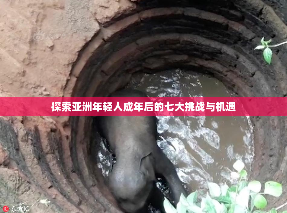探索亚洲年轻人成年后的七大挑战与机遇