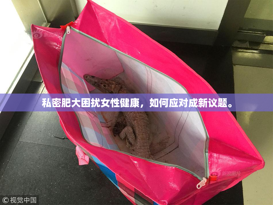 私密肥大困扰女性健康，如何应对成新议题。