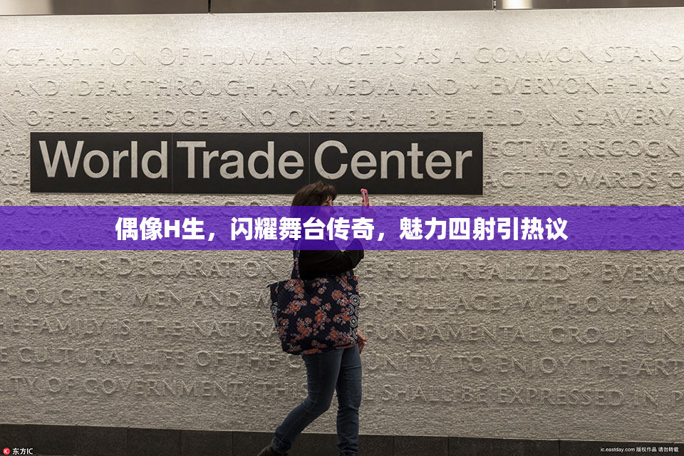 偶像H生，闪耀舞台传奇，魅力四射引热议