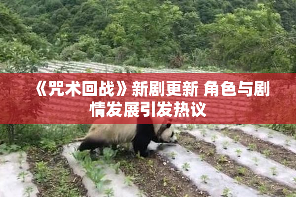 《咒术回战》新剧更新 角色与剧情发展引发热议