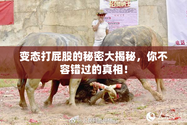 变态打屁股的秘密大揭秘，你不容错过的真相！