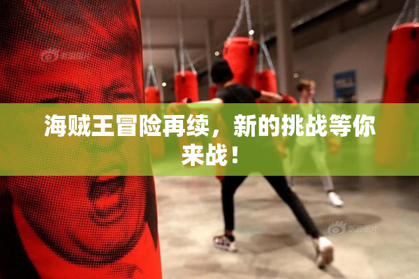 海贼王冒险再续，新的挑战等你来战！