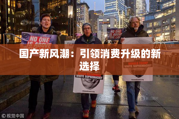 国产新风潮：引领消费升级的新选择