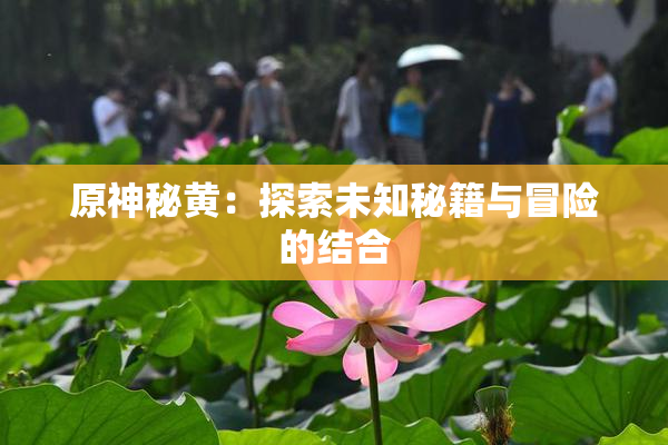 原神秘黄：探索未知秘籍与冒险的结合