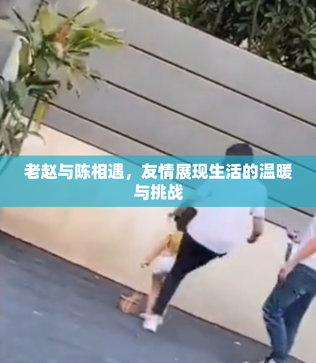 老赵与陈相遇，友情展现生活的温暖与挑战