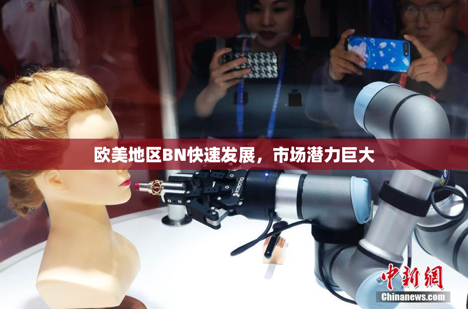 欧美地区BN快速发展，市场潜力巨大