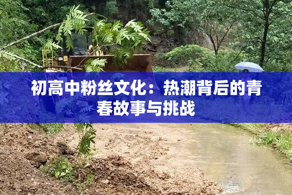 初高中粉丝文化：热潮背后的青春故事与挑战