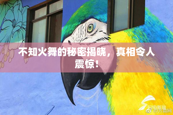 不知火舞的秘密揭晓，真相令人震惊！