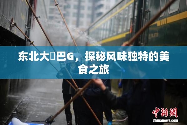 东北大鷄巴G，探秘风味独特的美食之旅