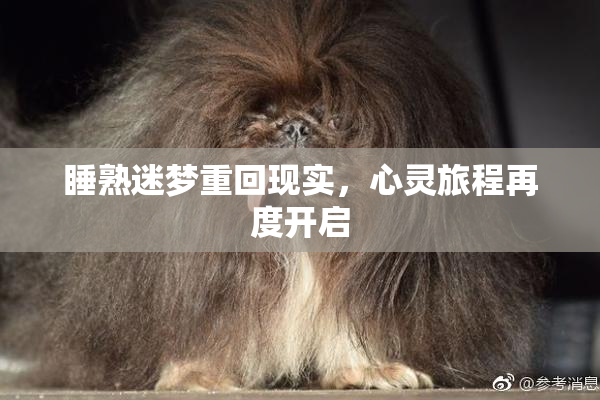睡熟迷梦重回现实，心灵旅程再度开启