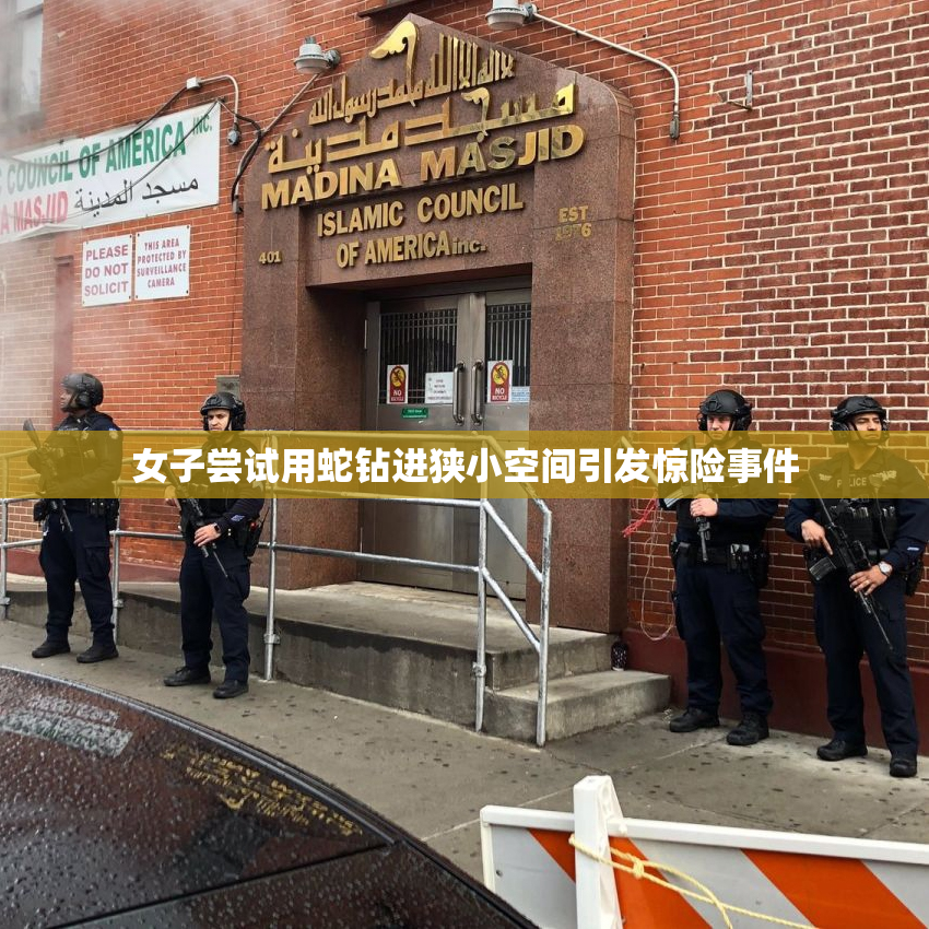 女子尝试用蛇钻进狭小空间引发惊险事件
