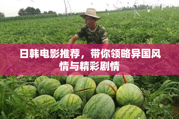 日韩电影推荐，带你领略异国风情与精彩剧情
