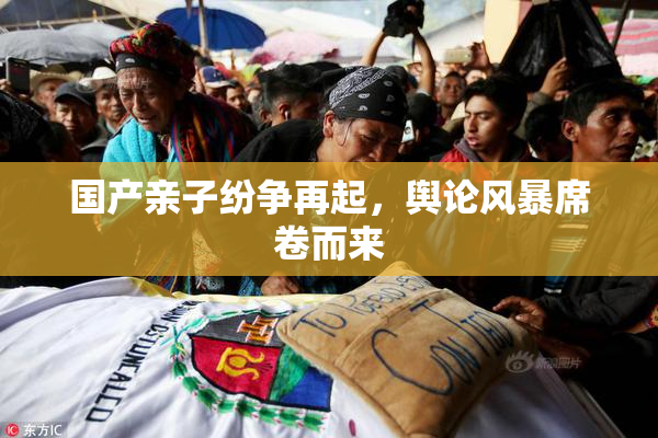 国产亲子纷争再起，舆论风暴席卷而来