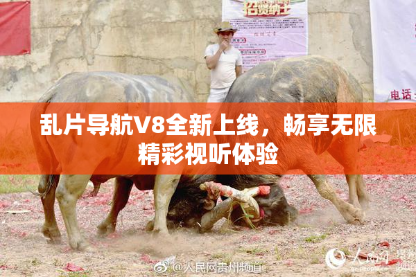 乱片导航V8全新上线，畅享无限精彩视听体验