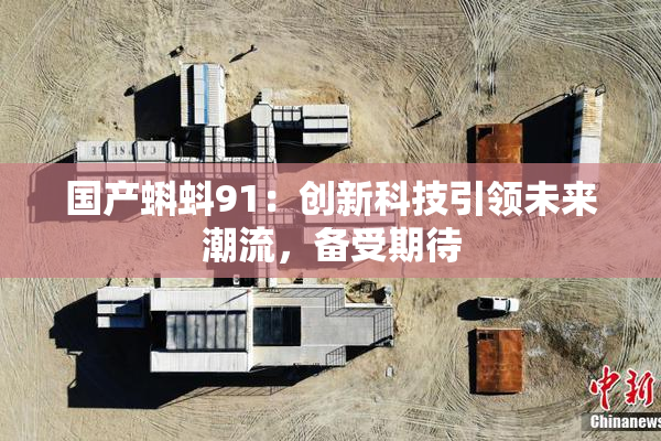 国产蝌蚪91：创新科技引领未来潮流，备受期待