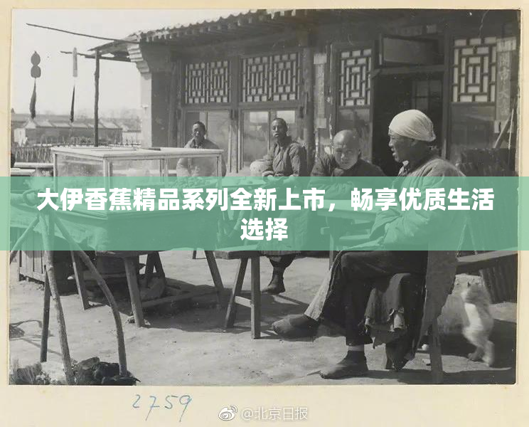 大伊香蕉精品系列全新上市，畅享优质生活选择