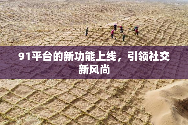 91平台的新功能上线，引领社交新风尚