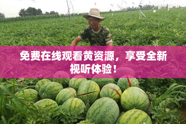 免费在线观看黄资源，享受全新视听体验！