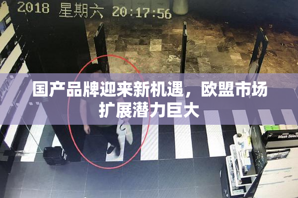 国产品牌迎来新机遇，欧盟市场扩展潜力巨大