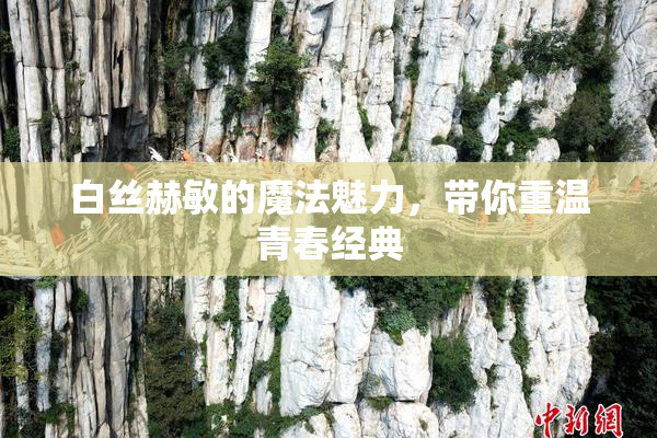 白丝赫敏的魔法魅力，带你重温青春经典