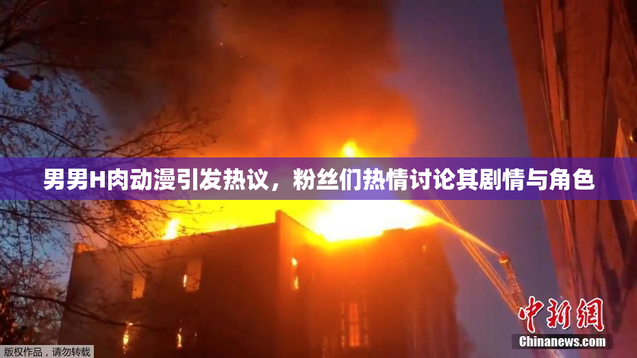 男男H肉动漫引发热议，粉丝们热情讨论其剧情与角色